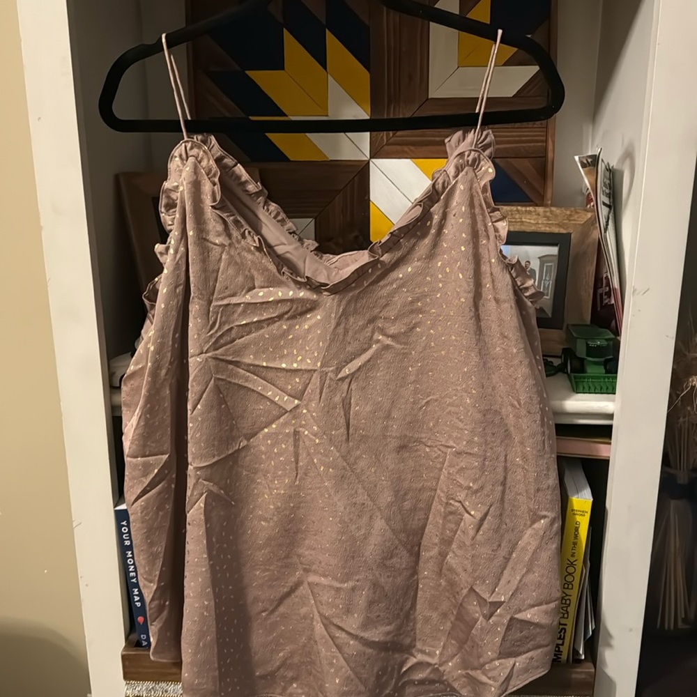 Express Metallic Tank Top